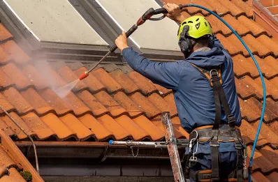 Démoussage et hydrofuge de toiture à Triors